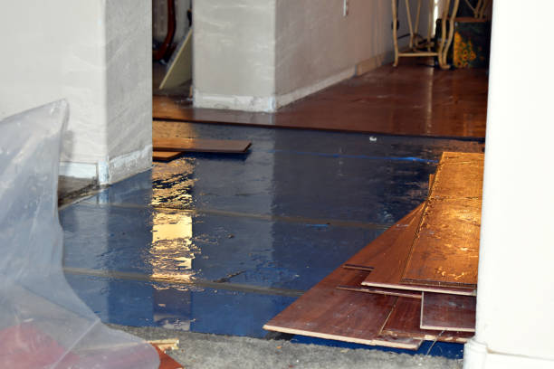 Professional Water Damage Restoration technician working in Morral, OH